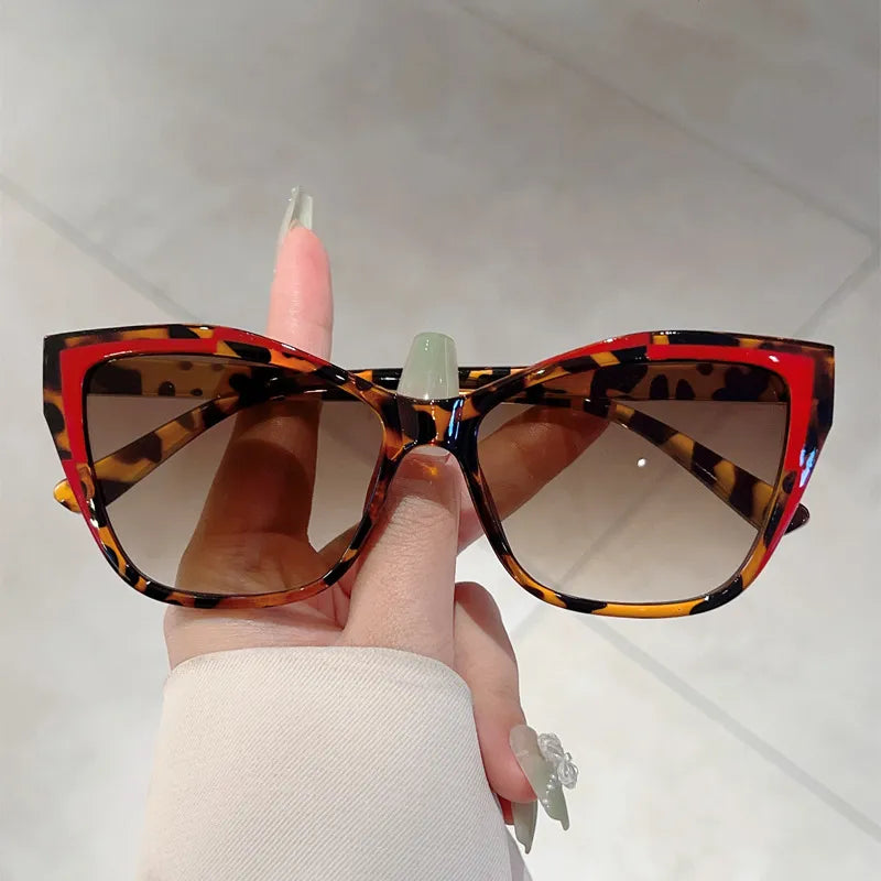 6480564e-6fee-4bdd-a9d6-6b7655385fc8-Max-Origin